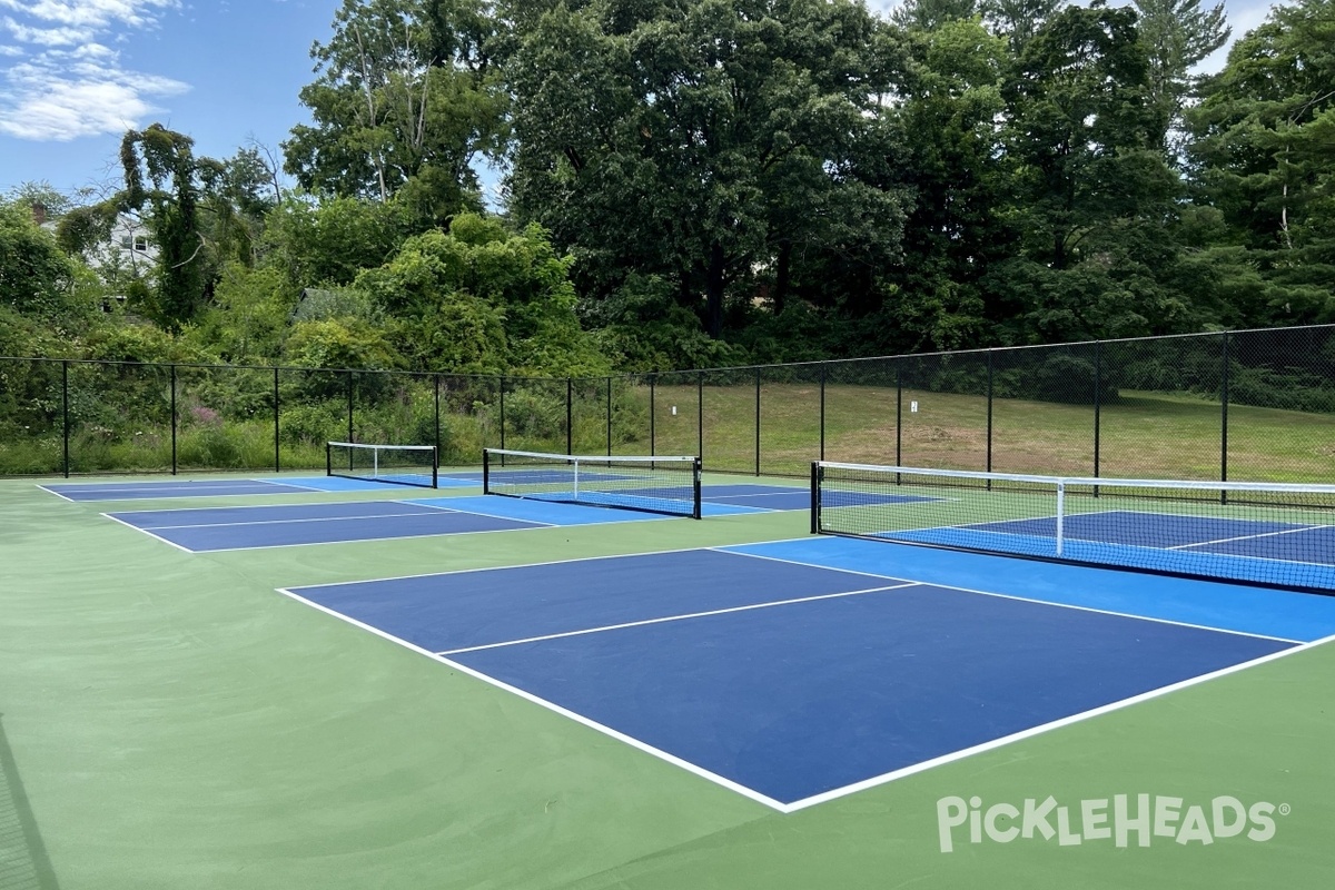 Photo of Pickleball at Buena Vista Courts